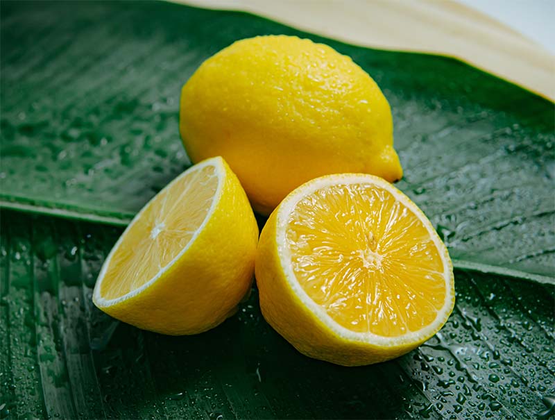 미국산 레몬
